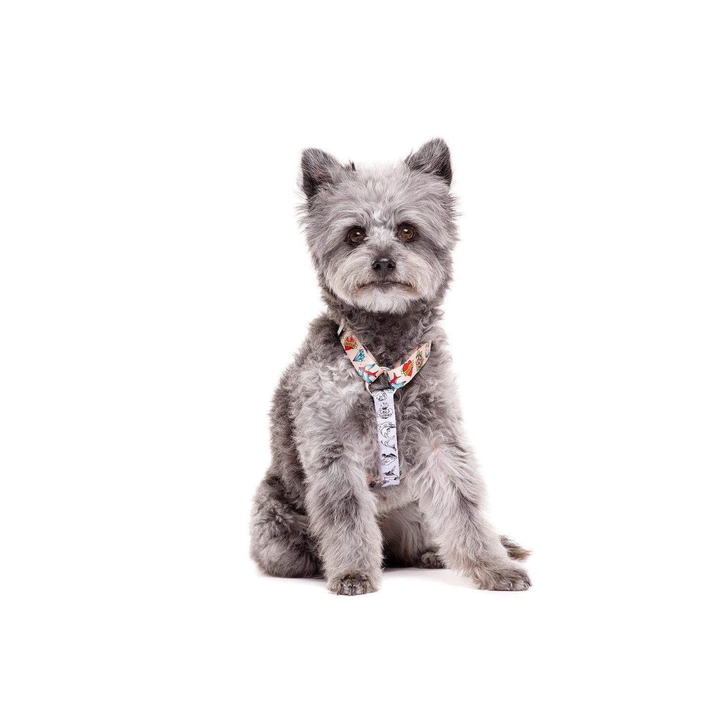 TATTOO Dukier L classic dog harness