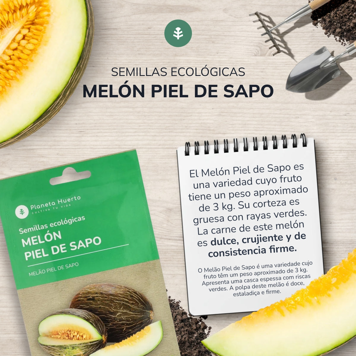 Bio-Samen von Melon piel de sapo Planet Garden