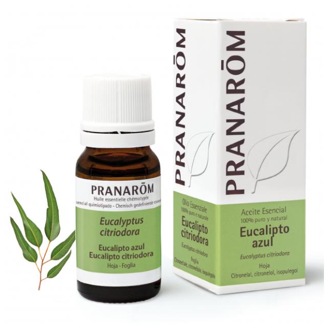 Biologische essentiële olie van blauwe citroeneucalyptus Pranaróm 10 ml