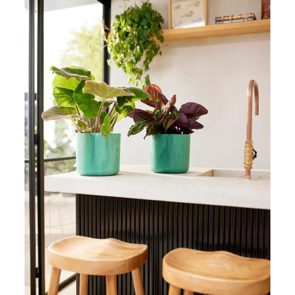 Pot de fleurs recyclé Ocean Round Elho vert pacifique 14 cm