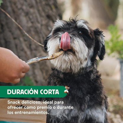 Naturligt mellanmål Wild Balance torkade ansjovisar 40 g