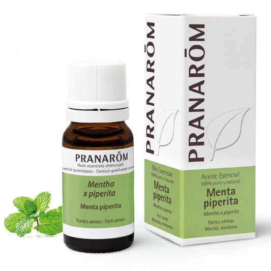 Ätherisches Öl Pfefferminze Pranarôm 10 ml