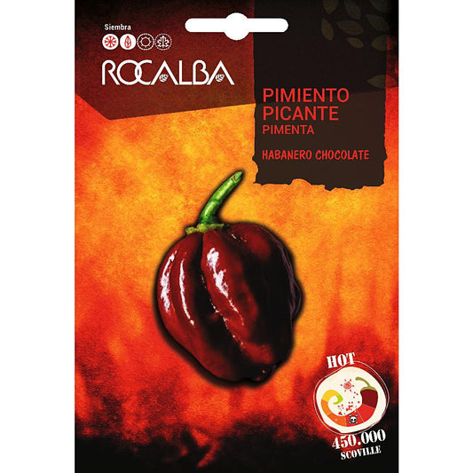Graines de piment fort Habanero Chocolate Rocalba