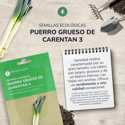 Bio-Samen von dickem Lauch aus Carentan Planeta Huerto