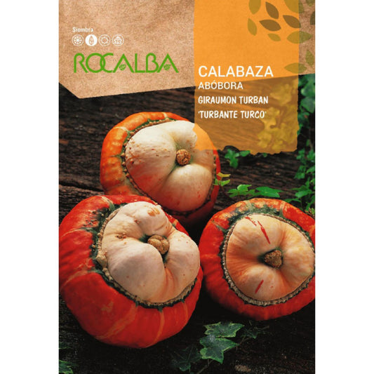Graines de courge giraumont turban « turban turc »
