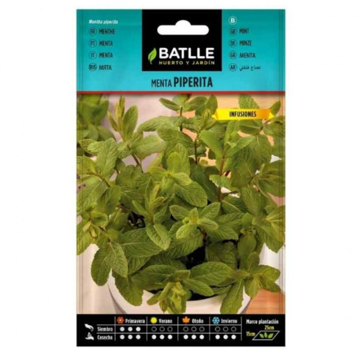 Semi di menta piperita Batlle