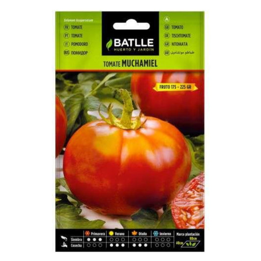 Graines de tomates Muchamiel Batlle