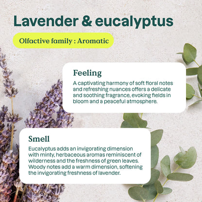 Attitude Natural Eucalyptus and Lavender Air Freshener 227 g