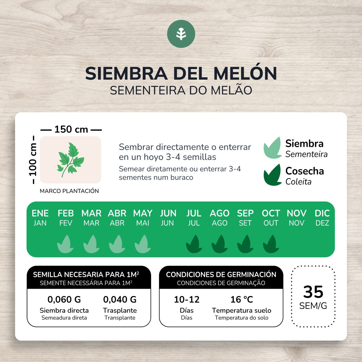 Bio-Samen von Melon piel de sapo Planet Garden