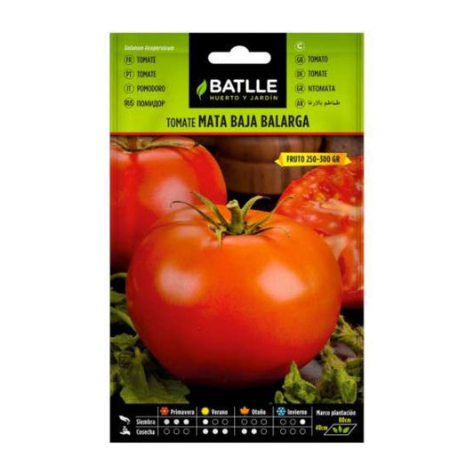 Graines de tomate Mata Baja Balarga Batlle