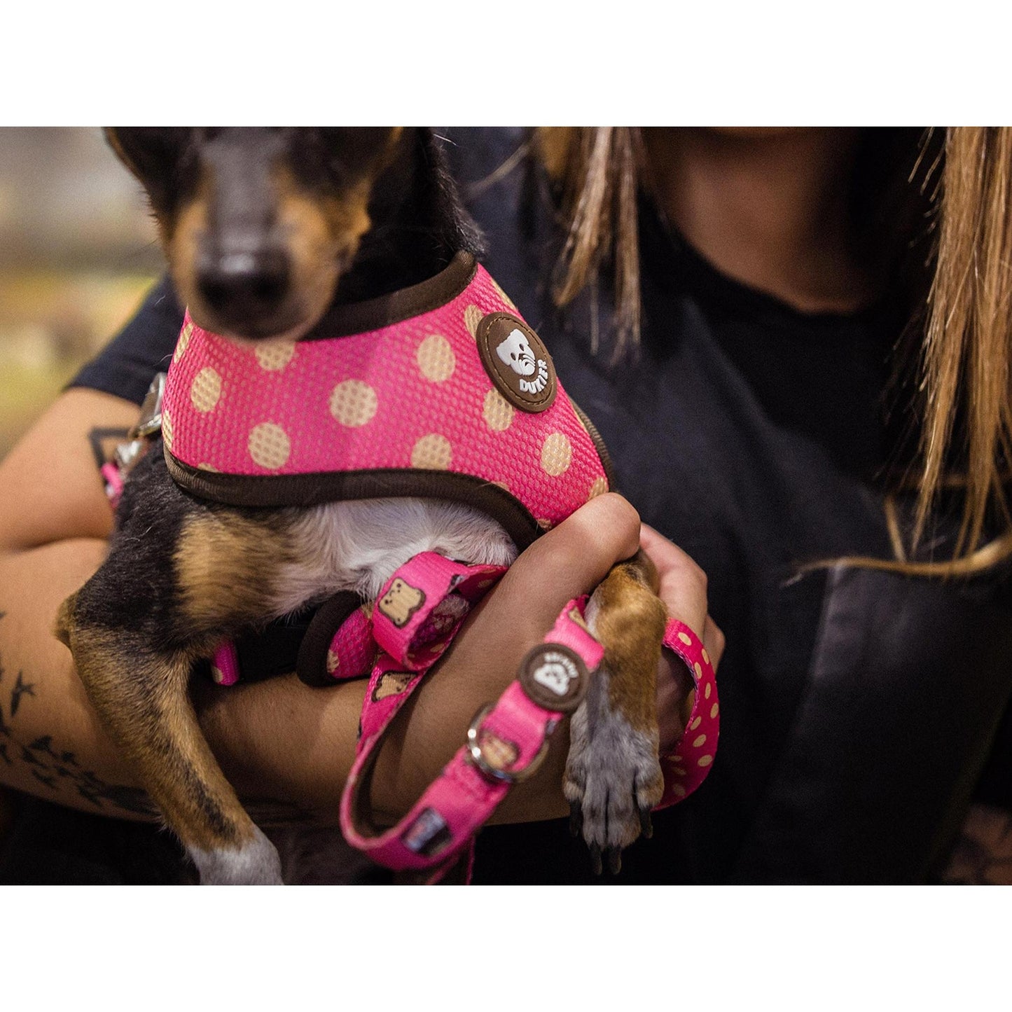 DOGTELLA Dukier L reversible dog harness