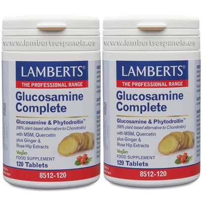 Pack of 2 x Glucosamine, Chondroitin, MSM, Ginger Lamberts 120 tablets