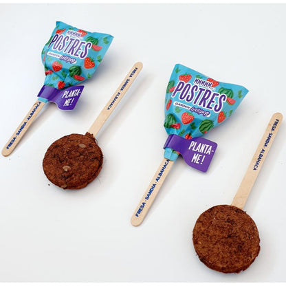 Garden Lollipop seed desserts