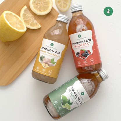 Förpackning 6 st Kombucha ECO grönt te och lime Planeta Huerto 330 ml