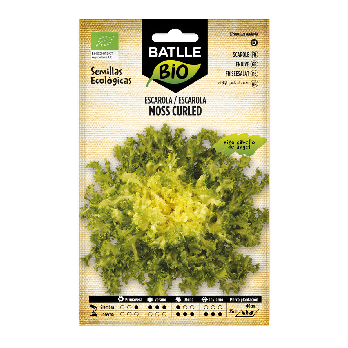 Graines de scarole cheveux d'ange-mousse frisée bio Batlle