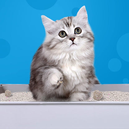 Sabbia agglomerante di bentonite per gatti aroma limone Nobleza 3,8 L