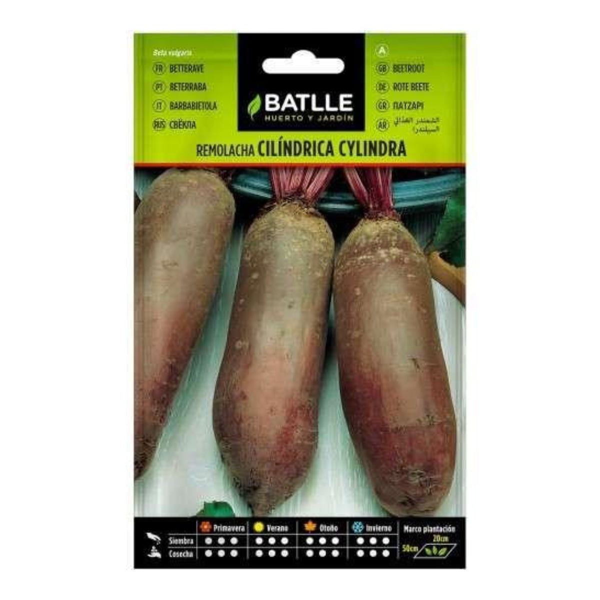 Bietenzaden Cylindra Batlle